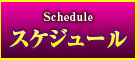 スケジュール