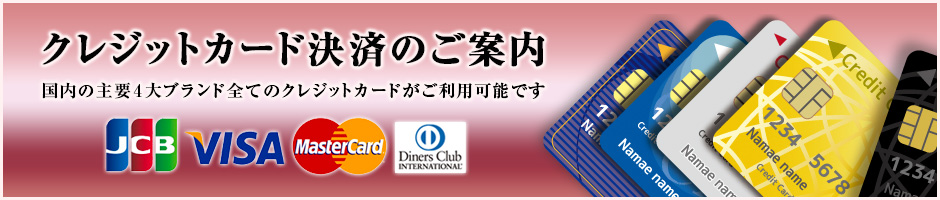 20代30代の安くて美人が多い店 越後屋 クレジットカード決済のご案内