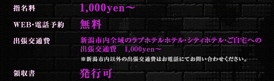 20代30代の安くて美人が多い店 越後屋 基本料金