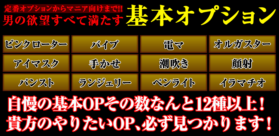 20代30代の安くて美人が多い店 越後屋 基本オプション